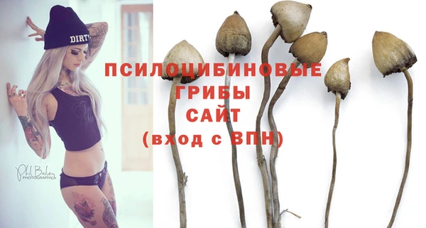 молекула духа Лихославль