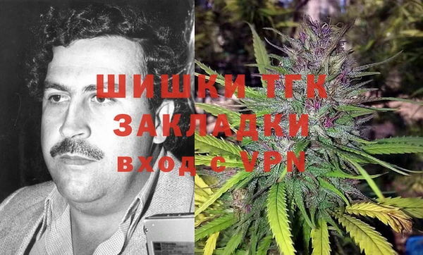молекула духа Лихославль