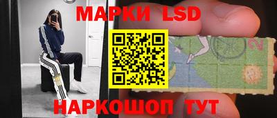СК Дубна
