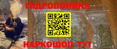 СК Дубна