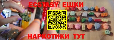 СК Дубна