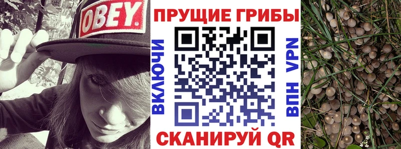 купить закладку ссылка на мегу ссылка Галлюциногенные грибы Psilocybe Луга