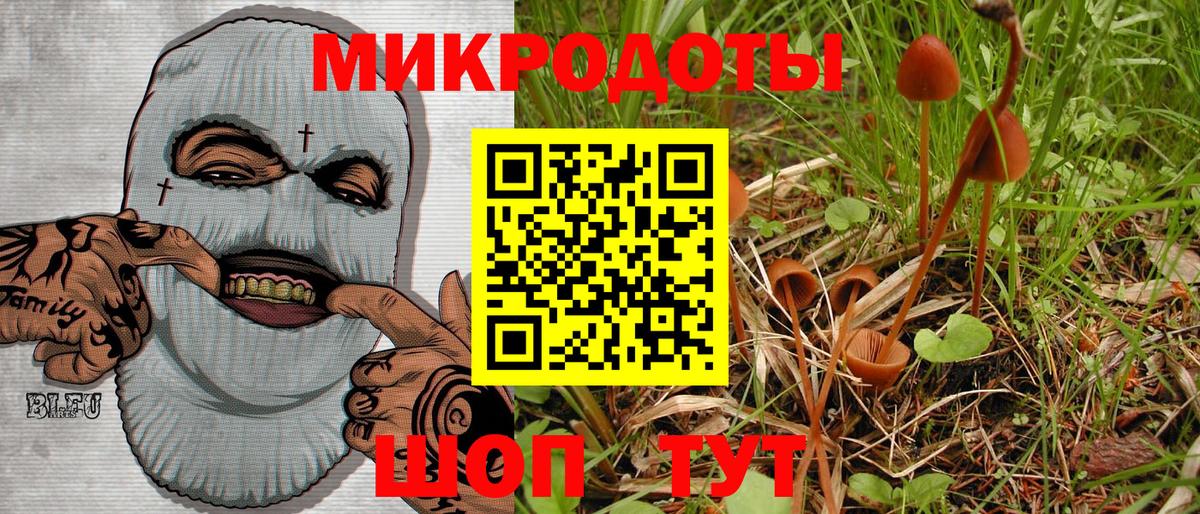 Псилоцибиновые грибы Cubensis Луга