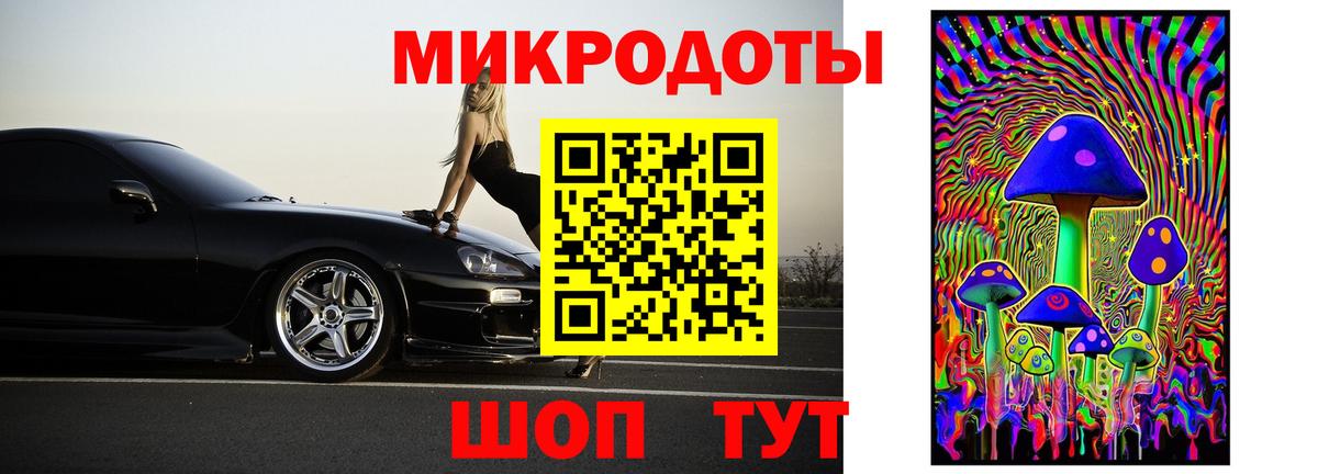 Псилоцибиновые грибы ЛСД  Галлюциногенные грибы Psilocybine cubensis  Луга  что такое наркотик  Вход с VPN 
