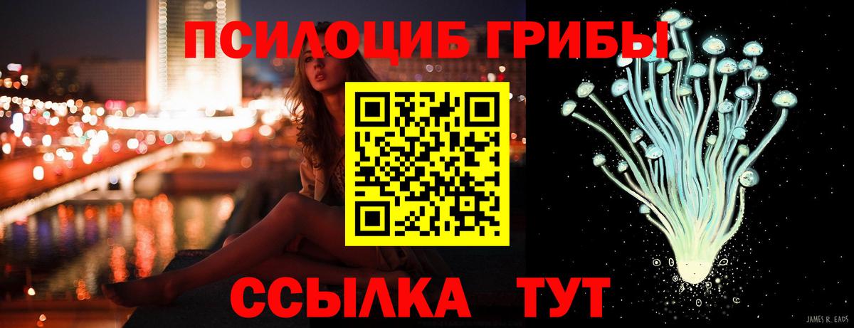 Галлюциногенные грибы Psilocybine cubensis  Луга 